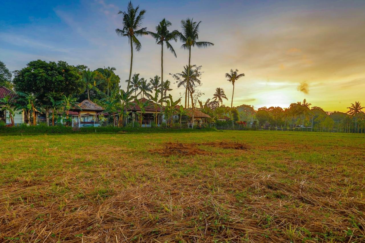 Villa Kaba Kaba Resort Canggu Exterior foto